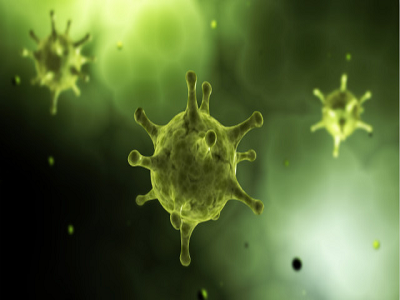 การทดสอบแอนติบอดีอย่างรวดเร็ว: coronavirus ใหม่